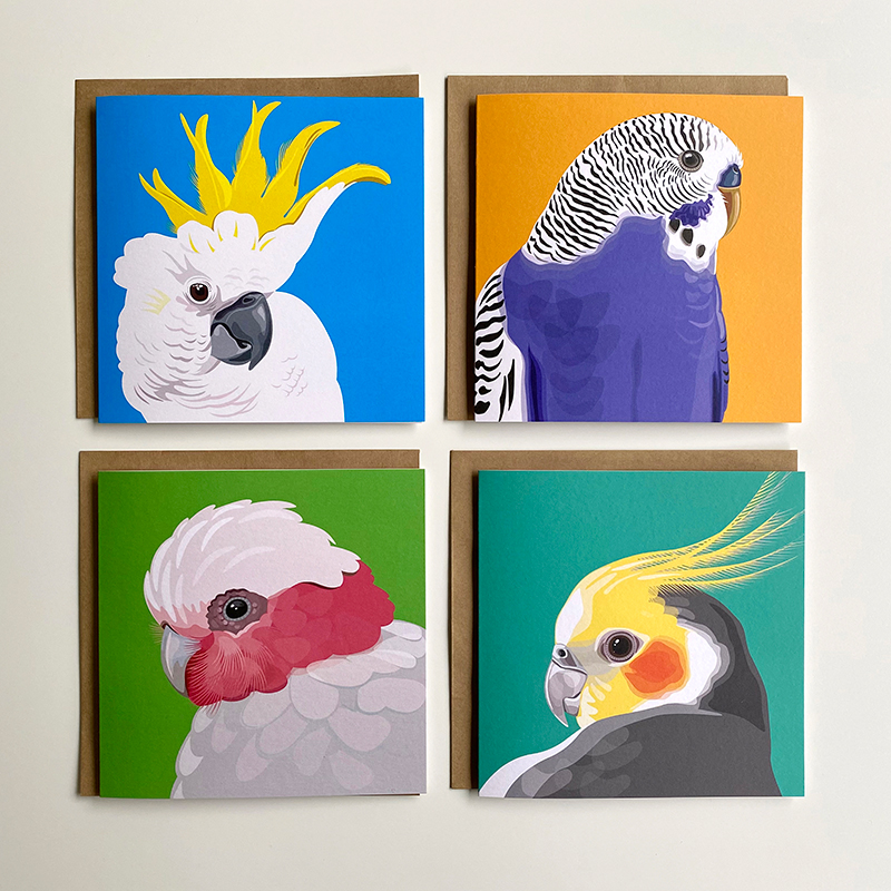 Gift set of Australian birds cards by Bird Circus, quality cards