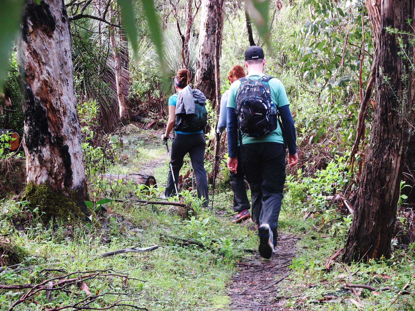 What's On Adelaide Hiking Expo 2023 FIFTY+SA