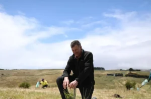 A man kneels in green grass, gently holding a small plant in his hands, showcasing a moment of connection with nature.