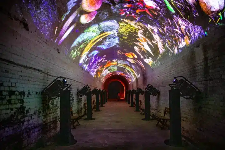 A vibrant tunnel illuminated by colorful lights, featuring a dynamic light show that captivates the viewer.