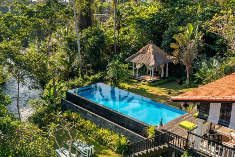 A serene pool surrounded by vibrant greenery in a lush tropical forest setting.