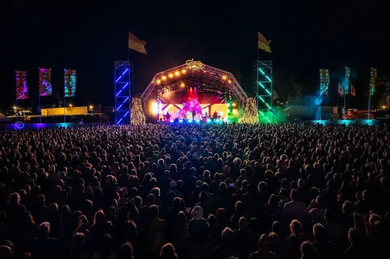 A vibrant crowd enjoying a music festival at night, illuminated by colorful lights and a lively atmosphere.